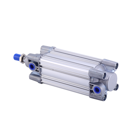 Standard Air Cylinders CP9663x100